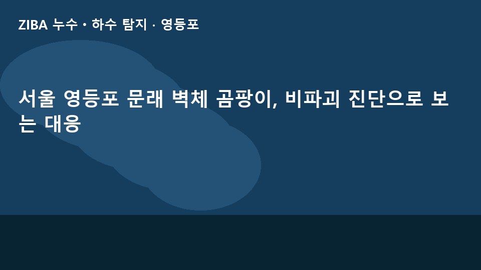 서울 영등포 문래 벽체 곰팡이, 비파괴 진단으로 보는 대응