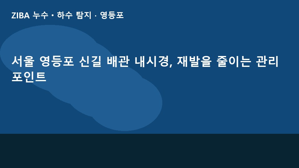 서울 영등포 신길 배관 내시경, 재발을 줄이는 관리 포인트
