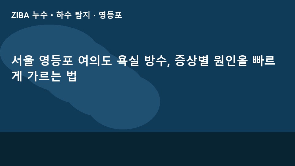 서울 영등포 여의도 욕실 방수, 증상별 원인을 빠르게 가르는 법