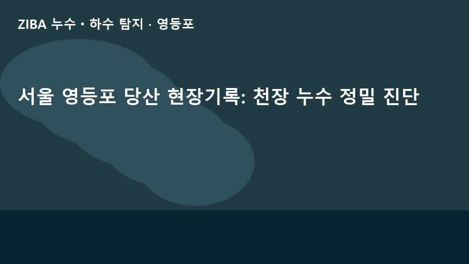 서울 영등포 당산 현장기록: 천장 누수 정밀 진단