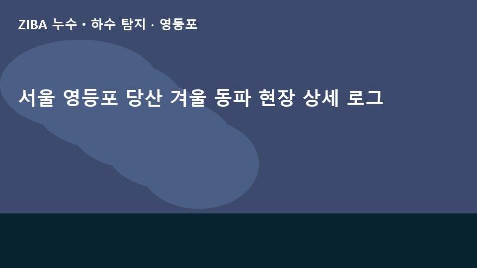 서울 영등포 당산 겨울 동파 현장 상세 로그