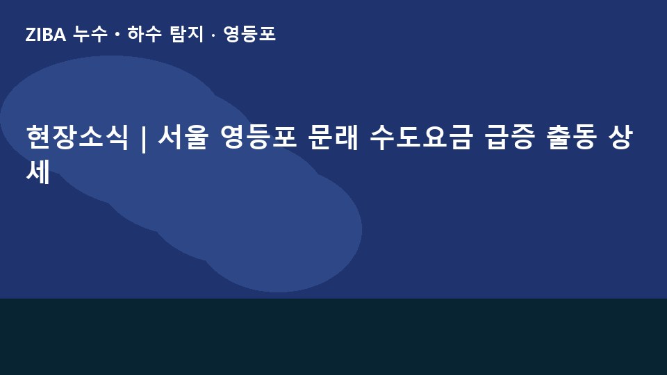 현장소식 | 서울 영등포 문래 수도요금 급증 출동 상세