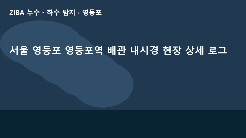 서울 영등포 영등포역 배관 내시경 현장 상세 로그