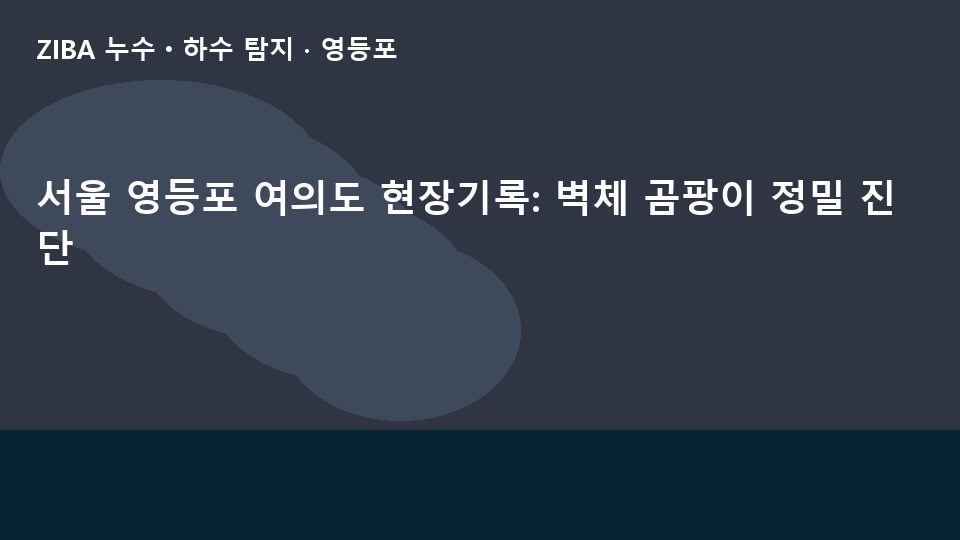 서울 영등포 여의도 현장기록: 벽체 곰팡이 정밀 진단